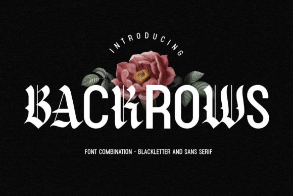 Backrows: A Display Font with Editorial Warmth and Presence