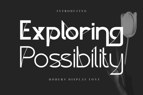 Exploring Possibility: A Display Font for Elegant Web Interfaces