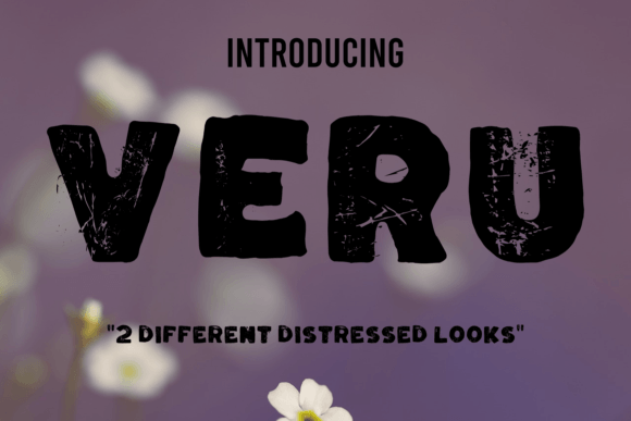 Veru: A Display Font That Brings Character to Your Brand Identity